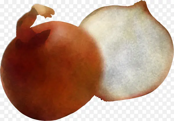 ʳ�� ֲ�� ˮ��-������