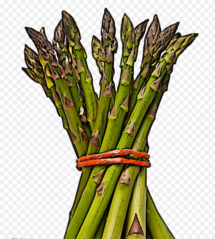 «�� �߲� ֲ��-������