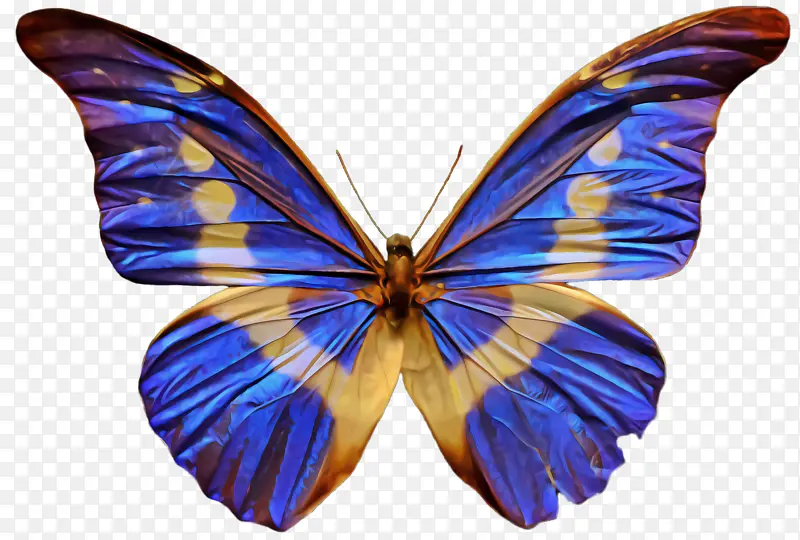 �ɶ�ͺ��� ���� ����-������