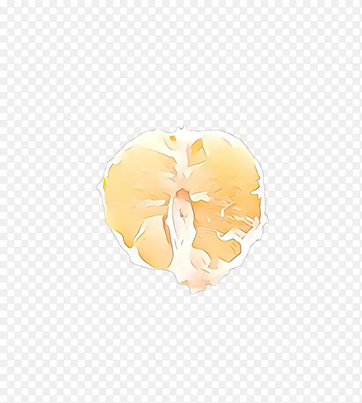 ��ɫ ��ɫ ����-������