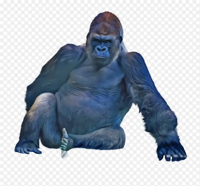 �����͵ش�����-������