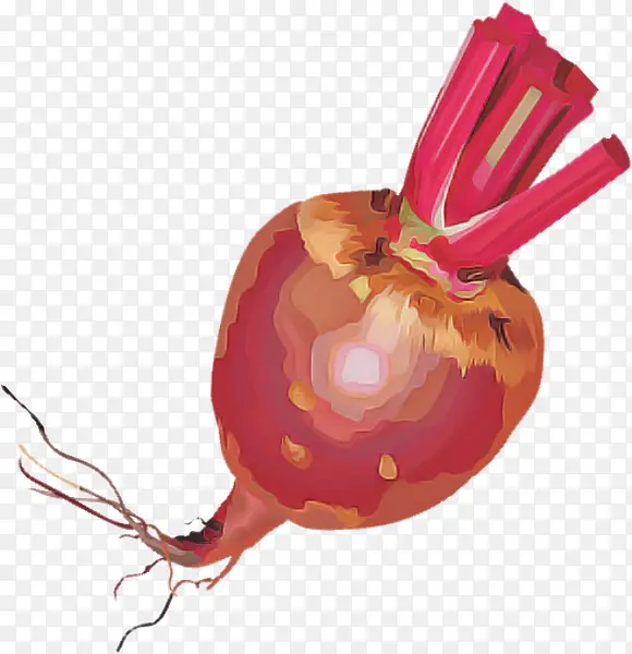 ����� �߲� ʳƷ-������