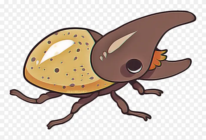 ���� ��ͨ �׳�-������