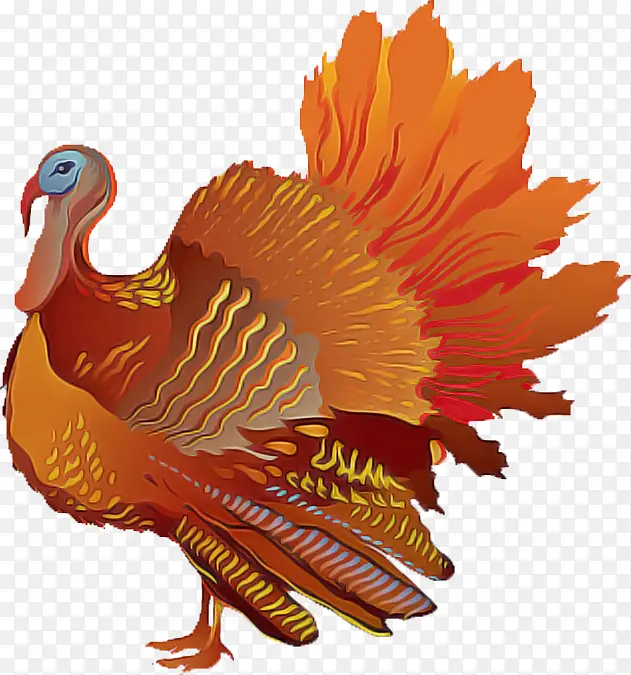 �� �� ���-������