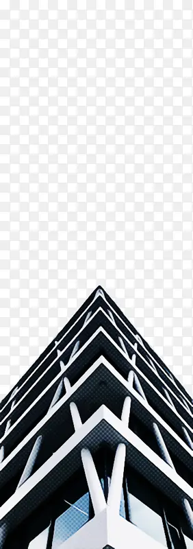 ���� ���� �ڰ�-������