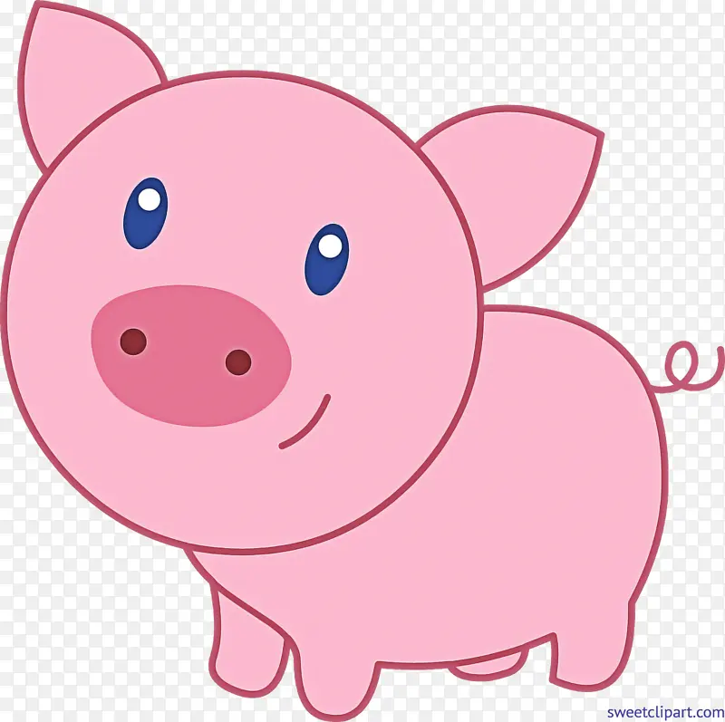 ��ɫ ��ͨ ����-������