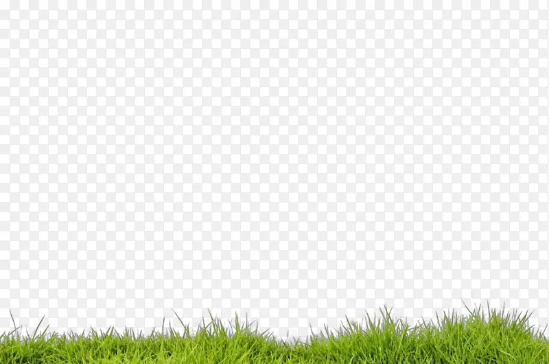 �� ��ɫ ��ƺ-������