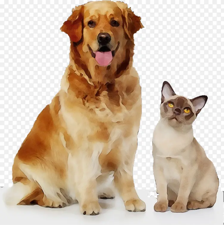 ˮ�ʻ� ���� ʪīˮ-������