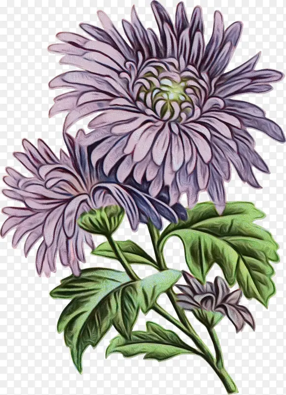 ˮ�ʻ� ���� ʪī-������