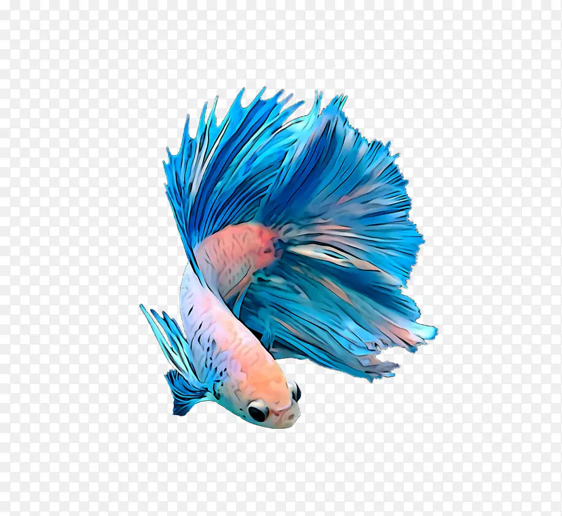 ��ɫ ����ʯɫ ��ë-������