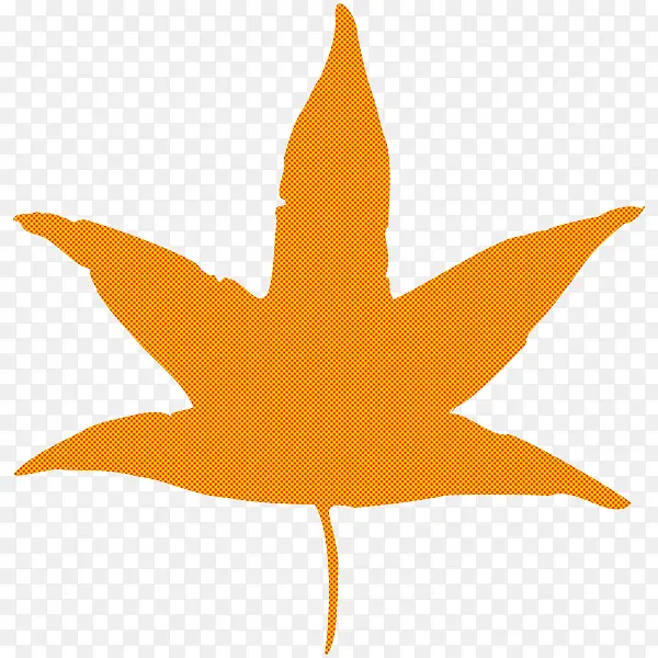 Ҷ�� ֲ�� ��-������