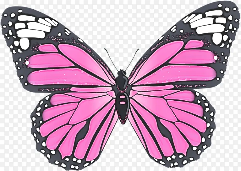 �ɶ�ͺ��� ���� ����-������