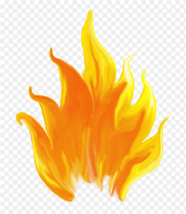 ��ɫ ���� ��ɫ-������