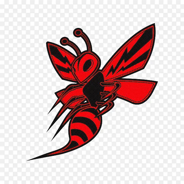 ���� Ĥ״���� ����-������