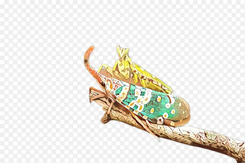 ���� �°� ���-������