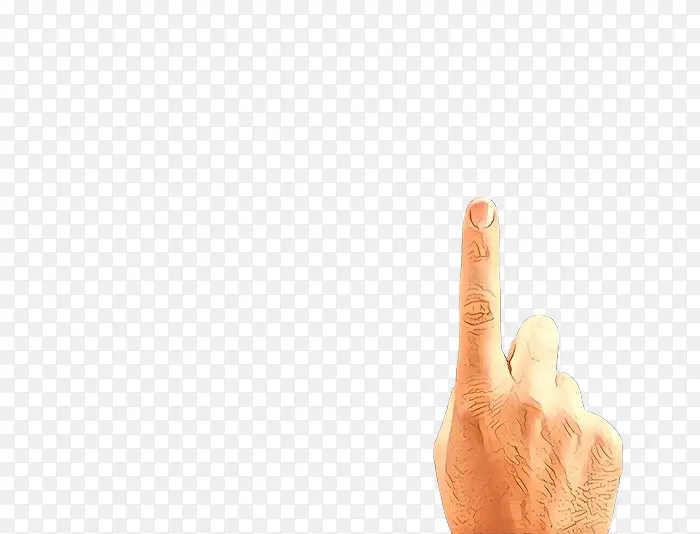 ��ָ �� ����-������