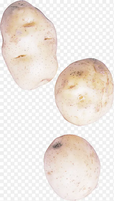 �����߲� �龥 ����-������