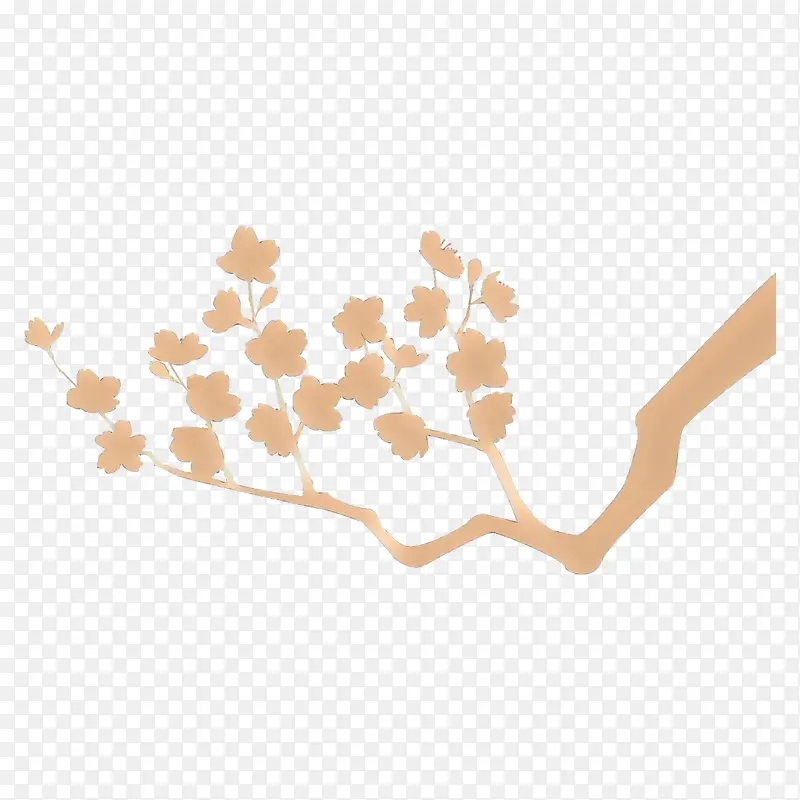 ��ɫ �� ����-������