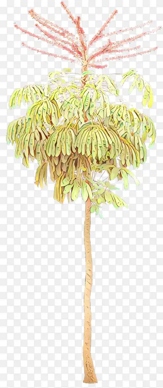 �� �� ֲ��-������