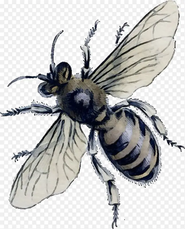 ˮ�� ���� ʪīˮ-������