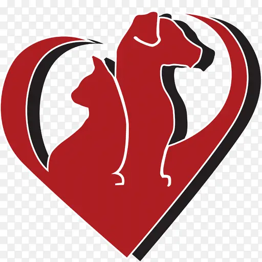 ���� ���� ��־-������