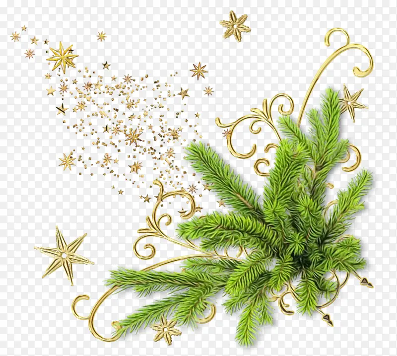 ˮ�ʻ� ���� ʪī-������