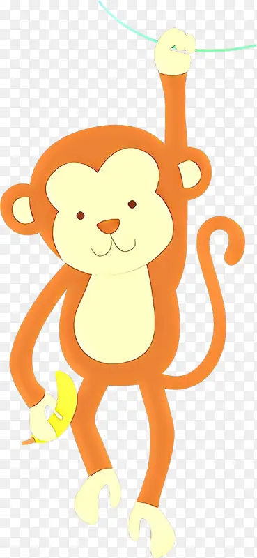 ��ͨ ��ɫ ��������-������