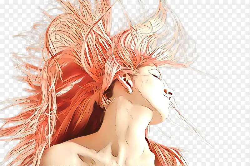 ͷ�� ��ɫ ����-������