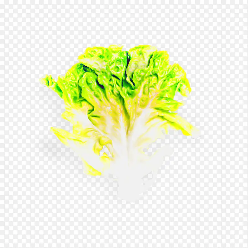 ��ɫ ��ɫ �߲�-������