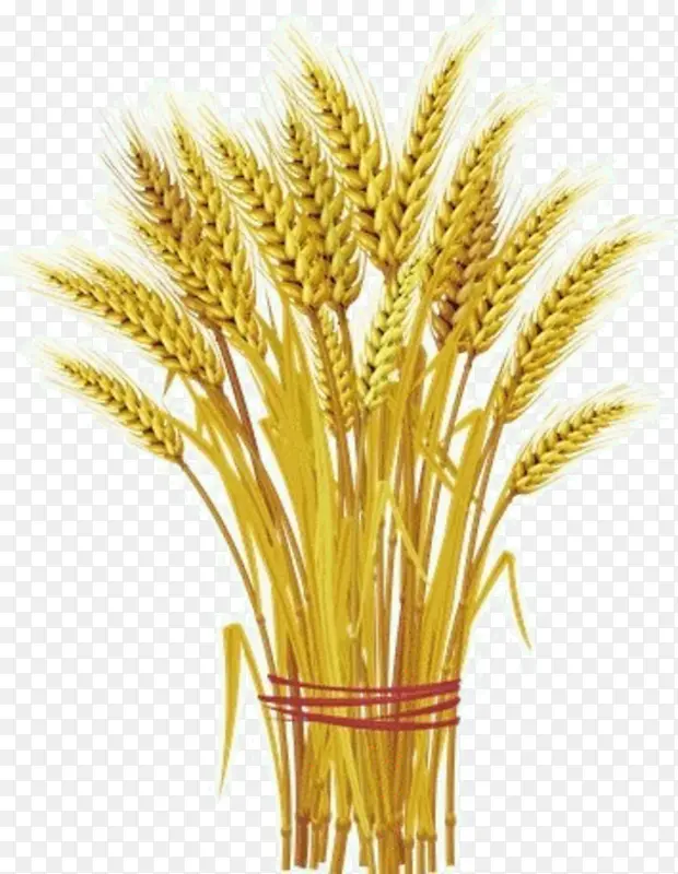 С�� ֲ�� ��-������