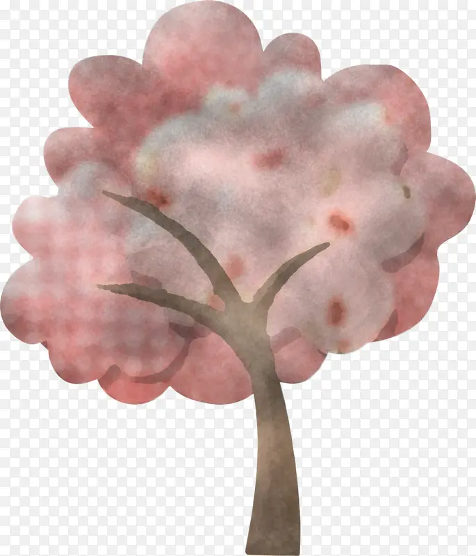 ��ɫ ֲ�� ����-������