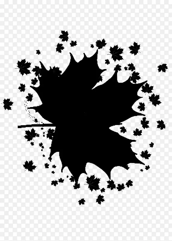 Ҷ�� �� �ڰ�ɫ-������