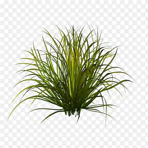 �� ֲ�� �ݿ�-������