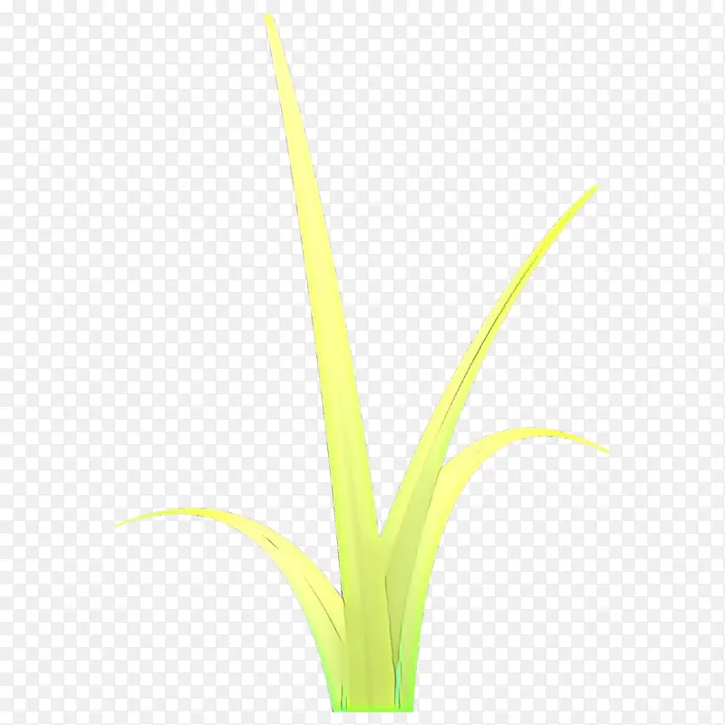 �� ֲ�� �ݿ�-������