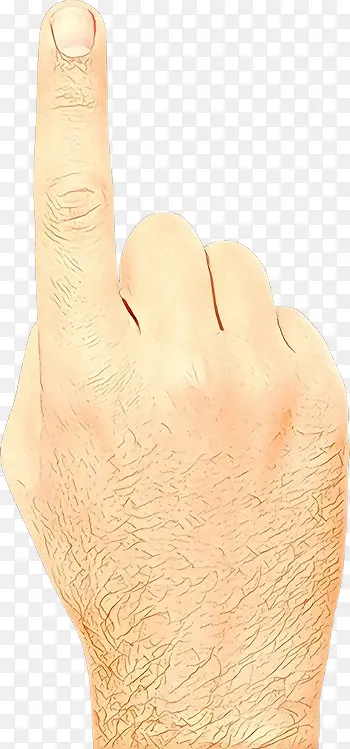 Ƥ�� �� ��ָ-������