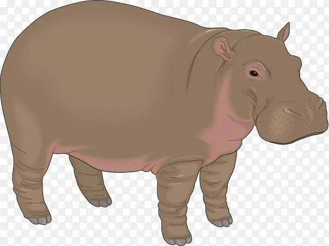 �������� ��ɫ ����-������