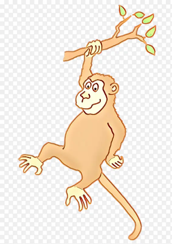 ��ͨ β��-������