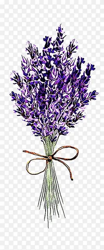 ޹�²� �� ֲ��-������