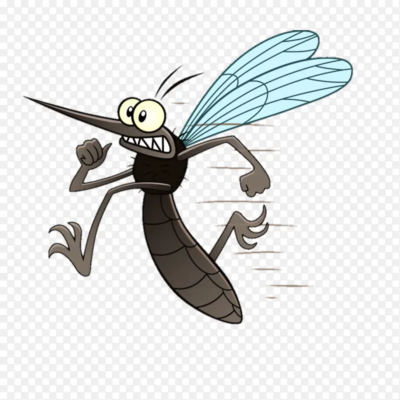 ���� ���ѺͶ��� ��ͨ-������