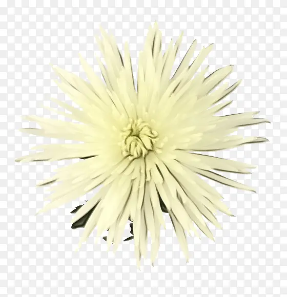 ˮ�ʻ� ���� ʪī-������