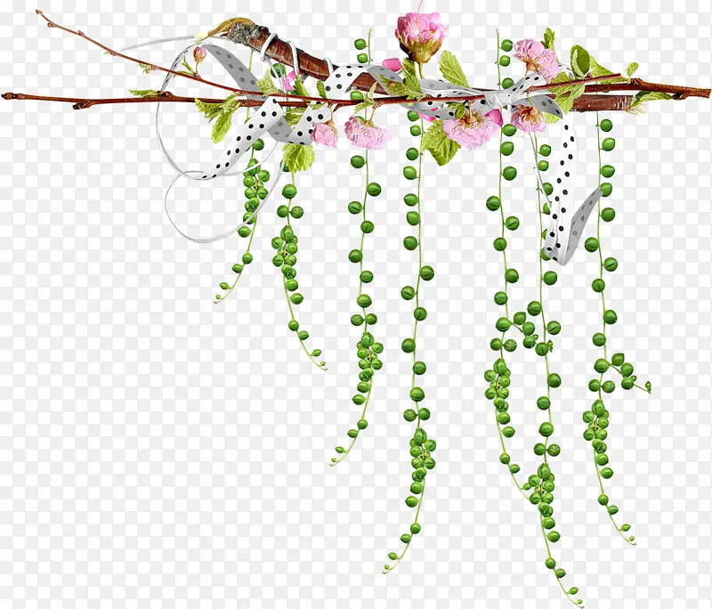 ��֦ ֲ�� ��-������