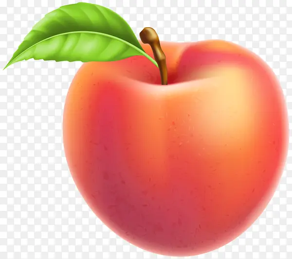 ��ȻʳƷ ˮ�� ֲ��-������