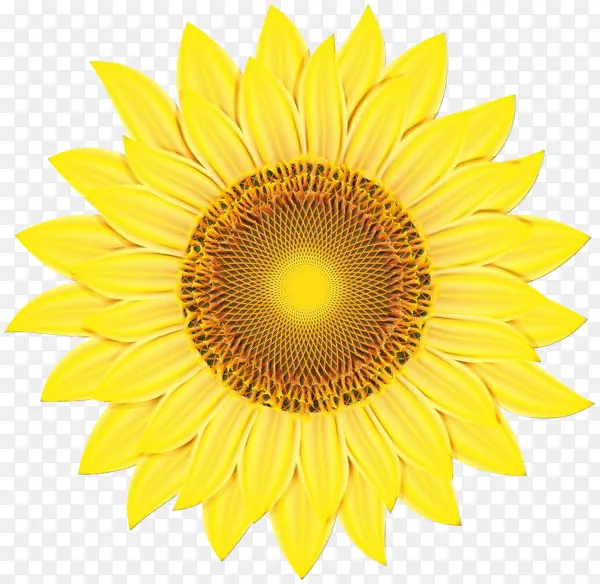 ˮ�ʻ� ���� ʪī-������