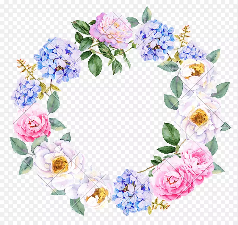 �������뻨ˮ�ʻ�����õ��ˮ�ʻ���Ȧ-������