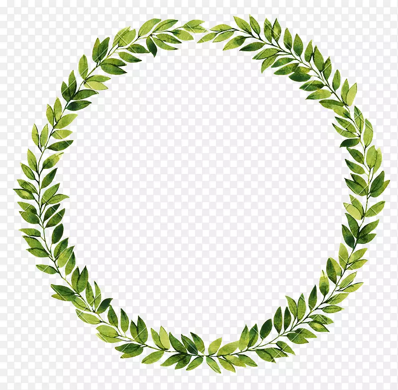 ����Ҷ����Ӱˮ�ʻ���Ȧ-������