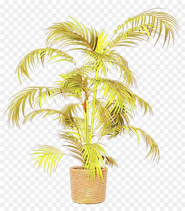 �ɹ���Ʒ�� ֲ�� �����-������