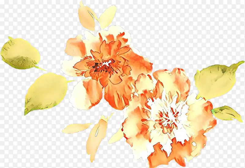 �� ���� ֲ��-������