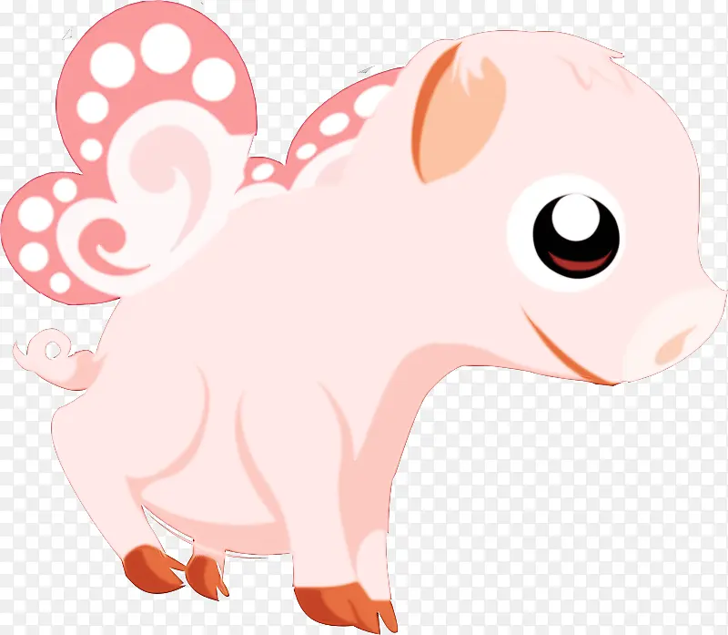 ��ͨ ���� �ۺ�ɫ-������