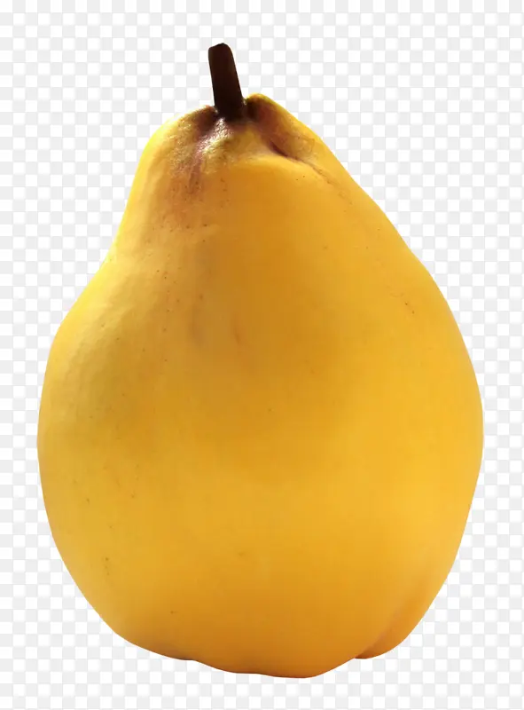 �� ˮ�� ʳƷ-������