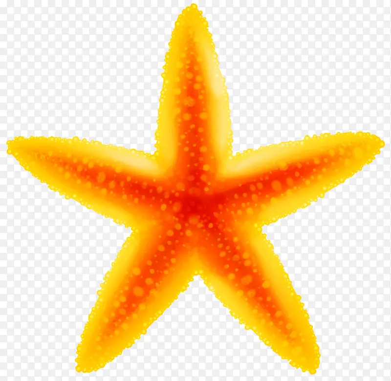 ��ɫ ��ɫ ����-������